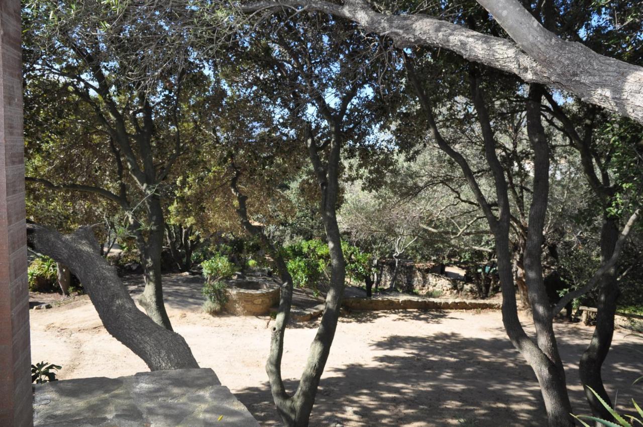 2Ba Domaine Malacucina Lumio Buitenkant foto