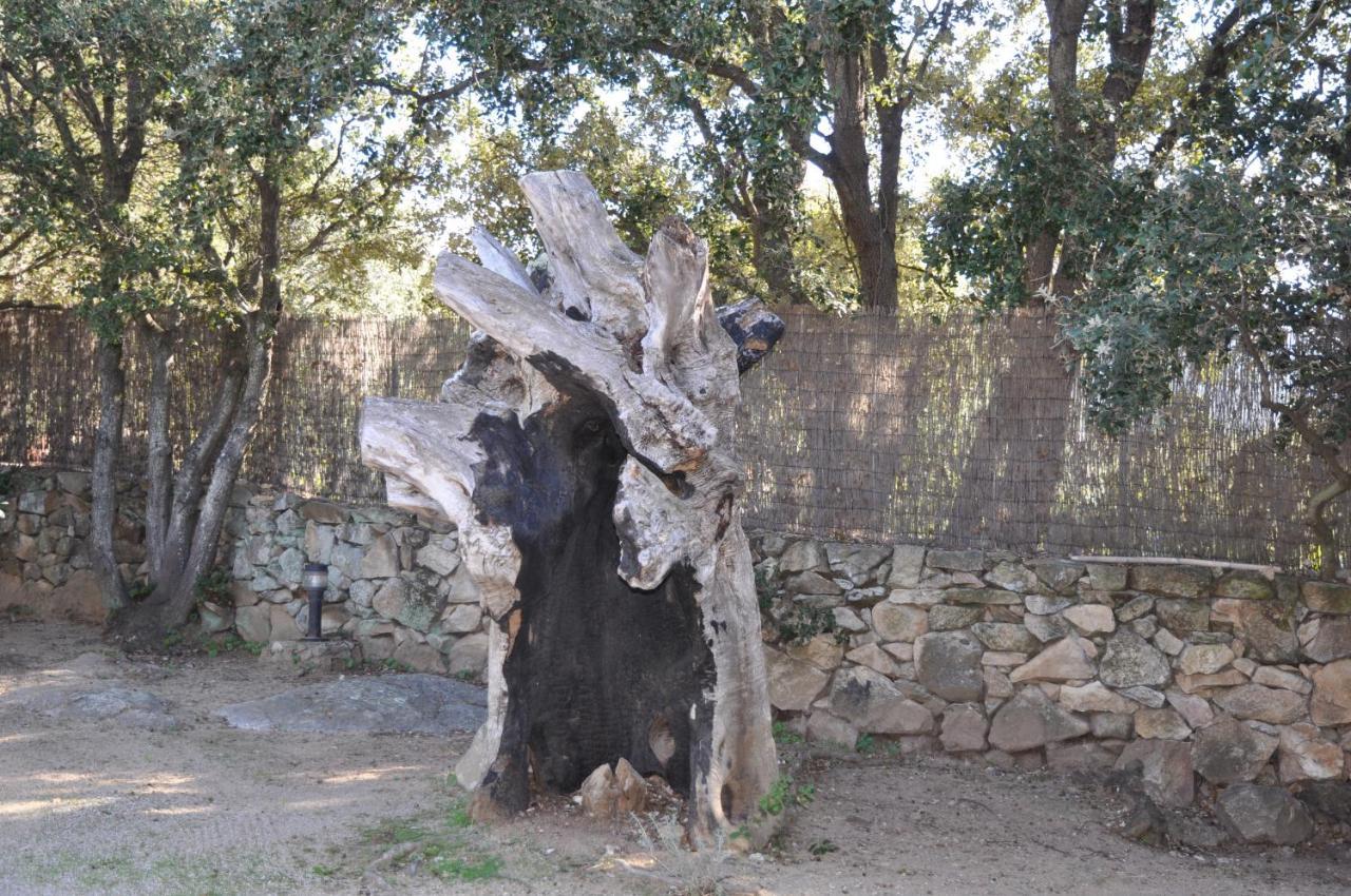 2Ba Domaine Malacucina Lumio Buitenkant foto